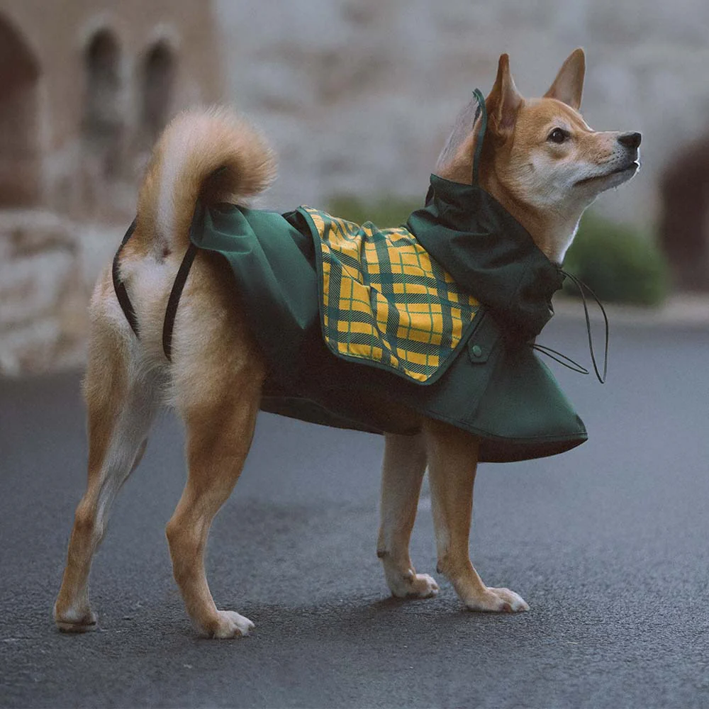 Imperméable ajustable pour chien à carreaux vintage protection contre les intempéries - Image 8