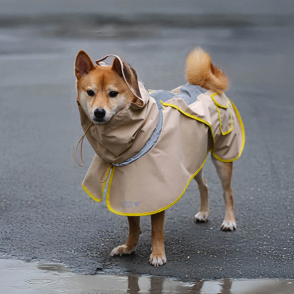 Imperméable réfléchissant réglable avec poche pour chien et maître - Restez au sec - Image 5