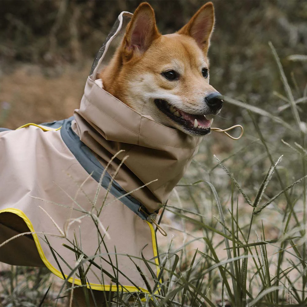 Imperméable réfléchissant réglable avec poche pour chien et maître - Restez au sec - Image 7