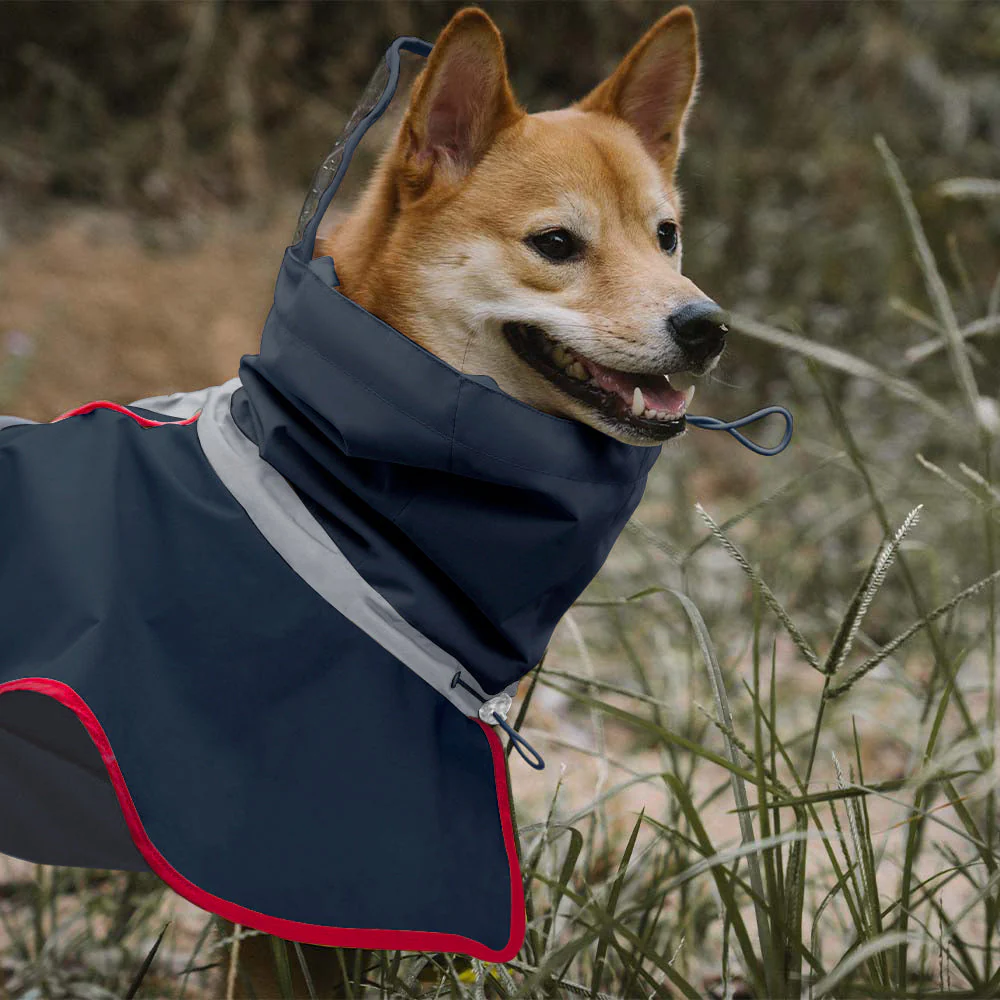 Imperméable réfléchissant réglable avec poche pour chien et maître - Restez au sec - Image 8