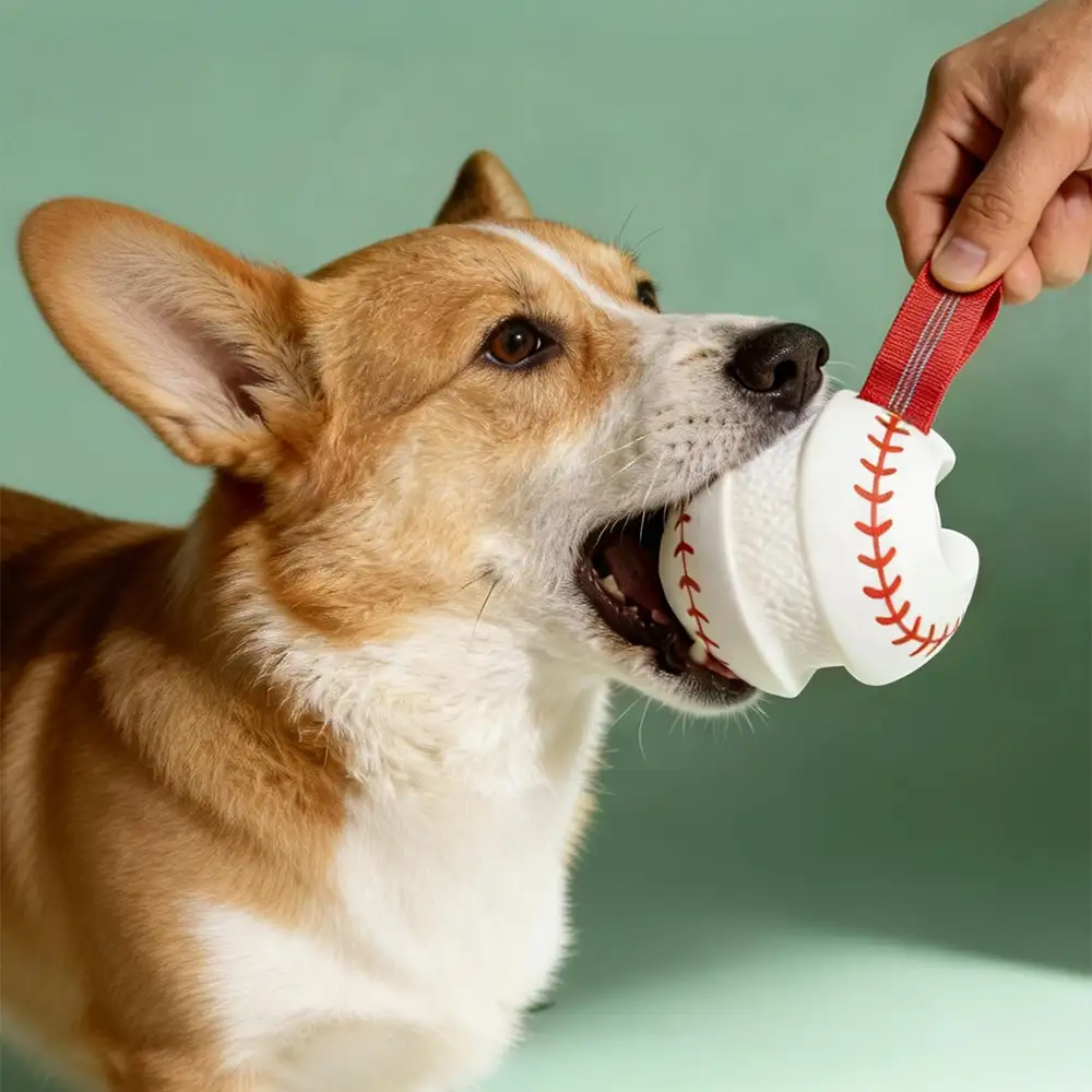 Jouet à mâcher interactif élastique pour chien - Dents et jeu - Image 2