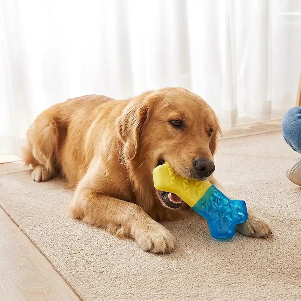 Jouet à mâcher pour chien en forme de dent, réfrigérable et remplissable d'eau. - Image 4