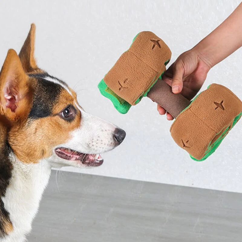 Jouet à Récompenses en Forme de Haltère pour Chien - Distributeur Alimentaire Interactif - Image 2