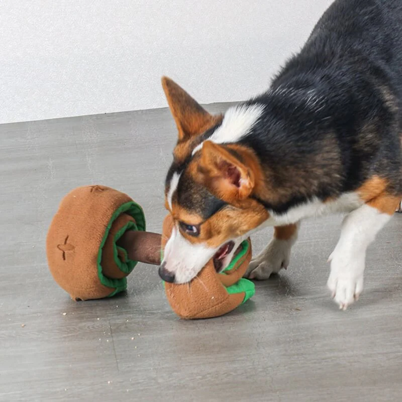 Jouet à Récompenses en Forme de Haltère pour Chien - Distributeur Alimentaire Interactif - Image 3