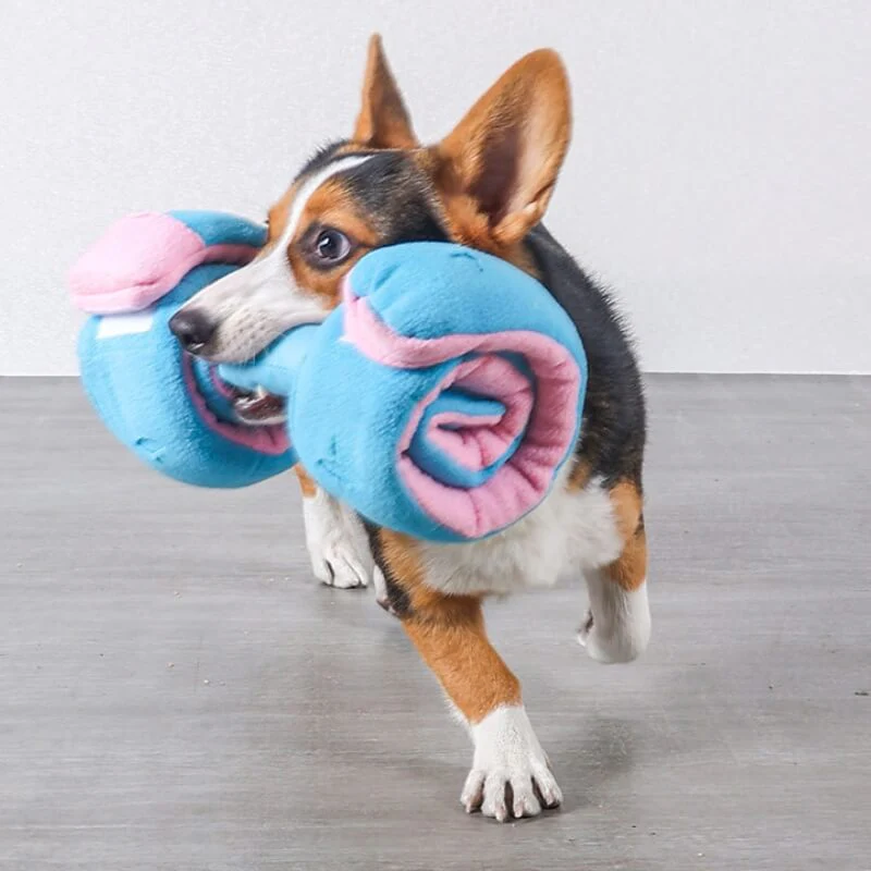 Jouet à Récompenses en Forme de Haltère pour Chien - Distributeur Alimentaire Interactif - Image 4