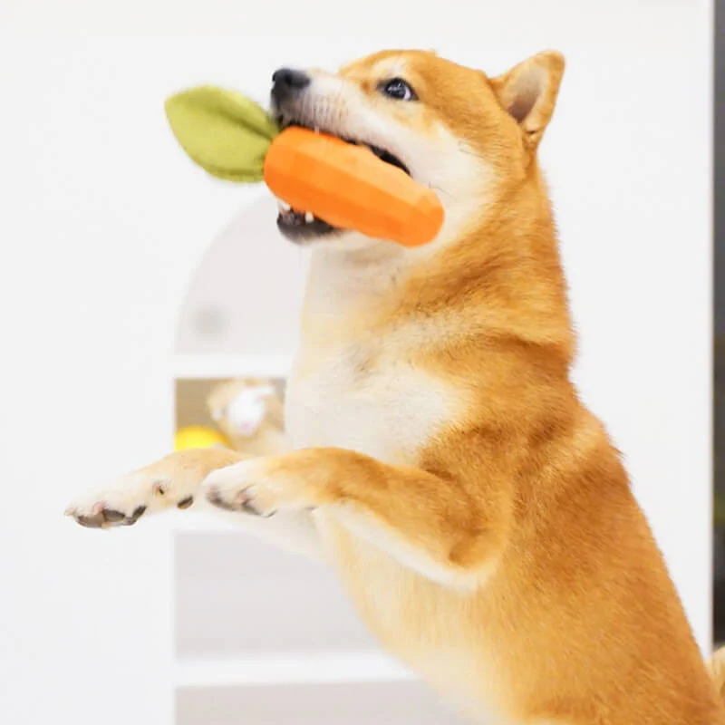 Jouet carotte durable et grinçant pour chien - Image 5