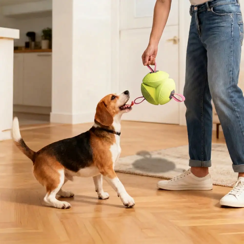 Jouet de chien flottant en forme de football avec des sangles - Image 8
