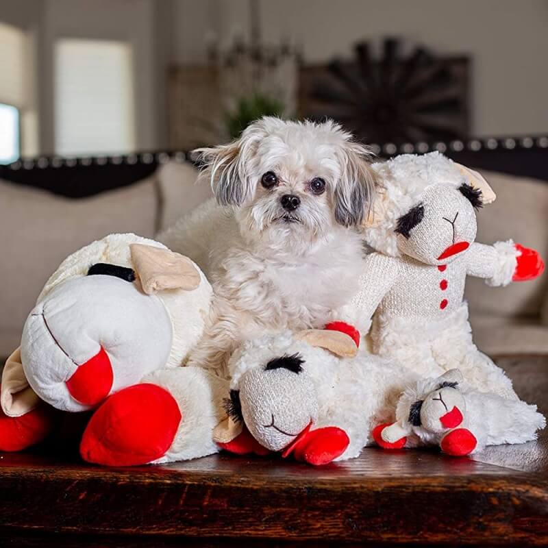 Jouet interactif pour chien agneau en peluche avec sifflet-Exclusif app - Image 3