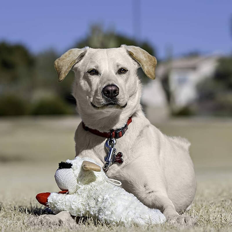 Jouet interactif pour chien agneau en peluche avec sifflet-Exclusif app - Image 7