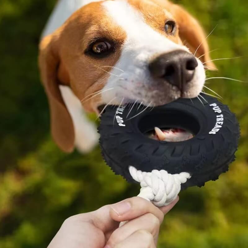 Jouet interactif pour chien en forme de pneu en caoutchouc pour dentition et mastication - Image 2