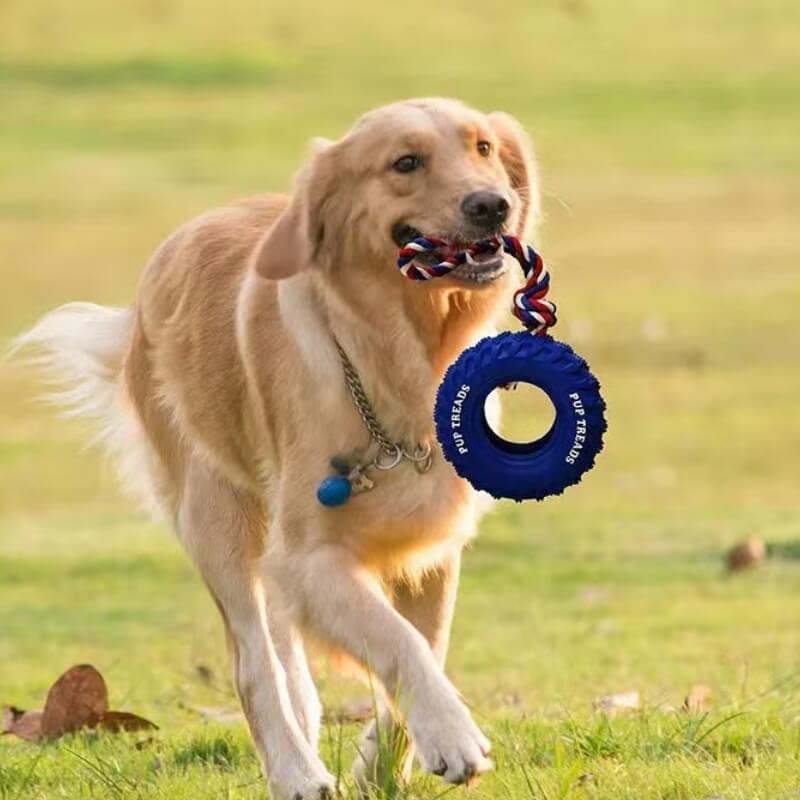 Jouet interactif pour chien en forme de pneu en caoutchouc pour dentition et mastication - Image 3