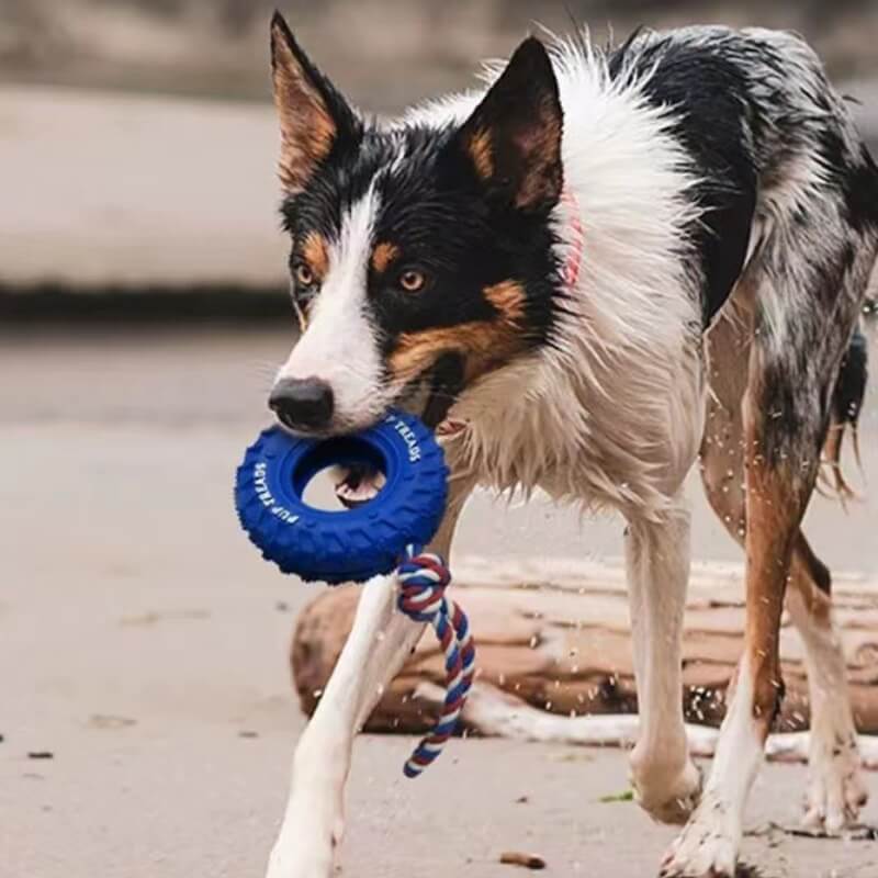 Jouet interactif pour chien en forme de pneu en caoutchouc pour dentition et mastication - Image 5