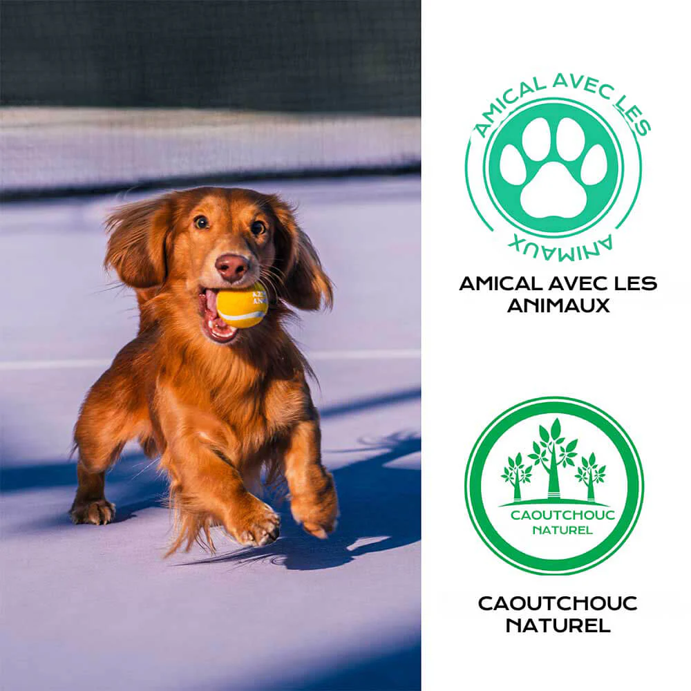 Jouet pour chien balle de tennis FUNNYFUZZY avec couineur et effet rebond - Image 6