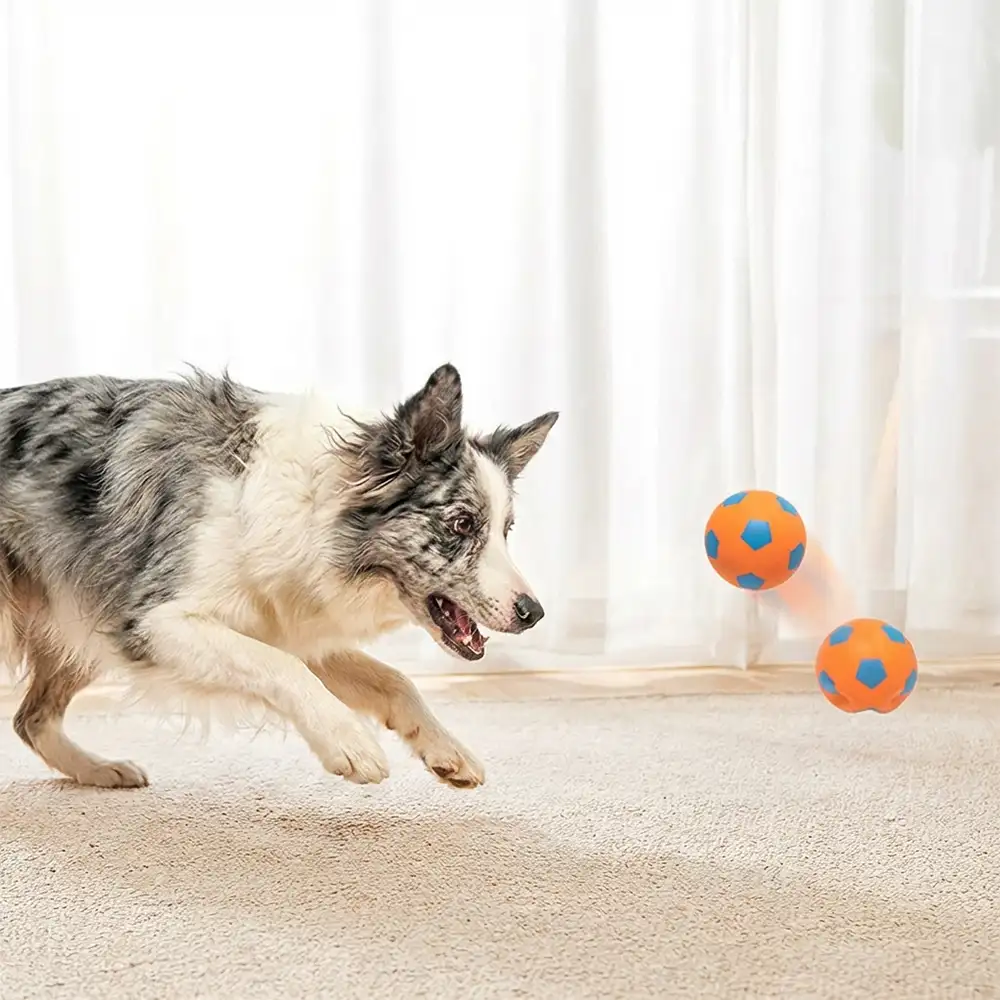 Jouet pour chien en forme de ballon flottant drôle avec une grande élasticité. - Image 3