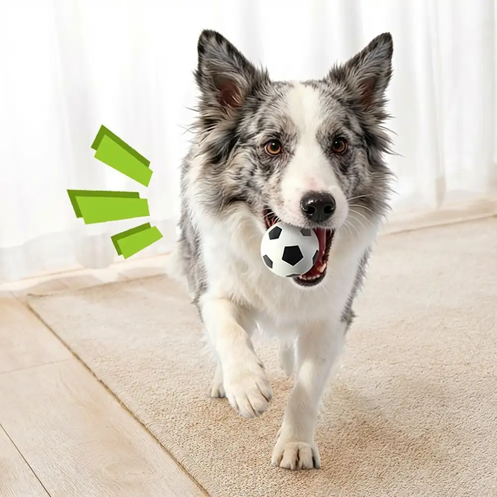 Jouet pour chien en forme de ballon flottant drôle avec une grande élasticité. - Image 4