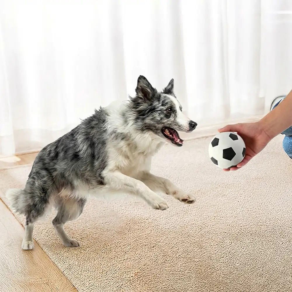 Jouet pour chien en forme de ballon flottant drôle avec une grande élasticité. - Image 5