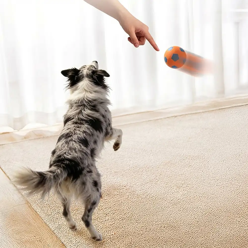 Jouet pour chien en forme de ballon flottant drôle avec une grande élasticité. - Image 6