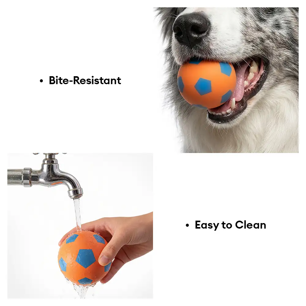 Jouet pour chien en forme de ballon flottant drôle avec une grande élasticité. - Image 7