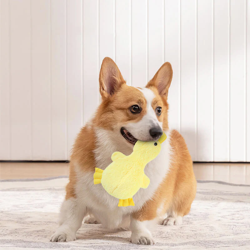 Jouet mignon pour chien en forme de canard avec sifflet - Image 4
