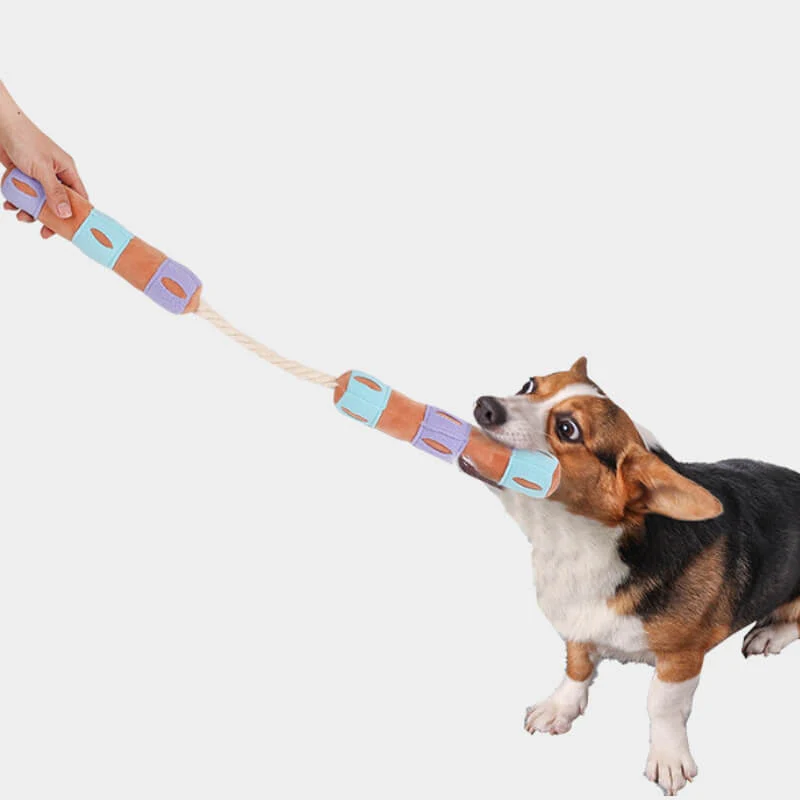 Jouet pour Chien Interactive avec Distributeur de Friandises et Sifflement - Image 2