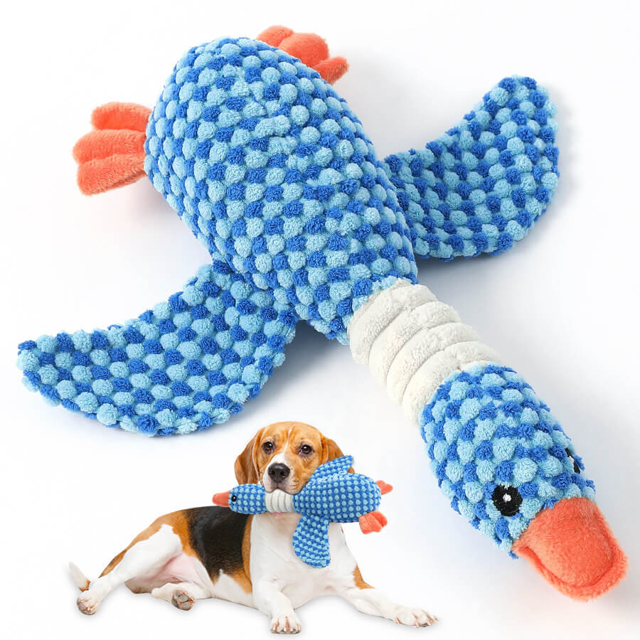Jouet résistant aux morsures de chien avec sifflet - Oiseau - Image 6