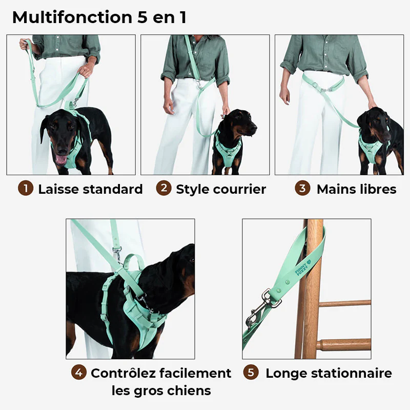 Laisse pour chien en gomme - Image 6