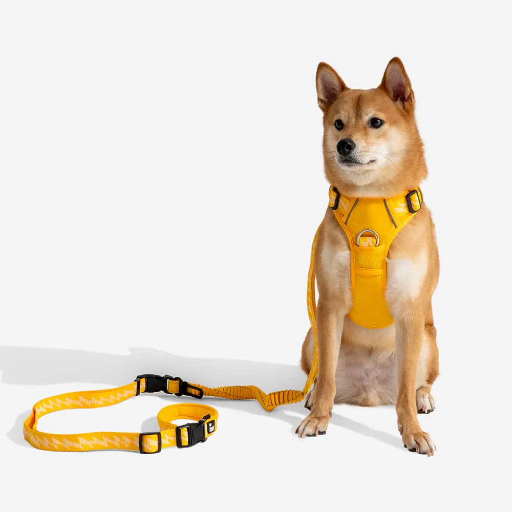 Laisse pour chien grande taille nylon réfléchissante réglable polyvalente avec poignée souple - Flexi Walker - Image 10