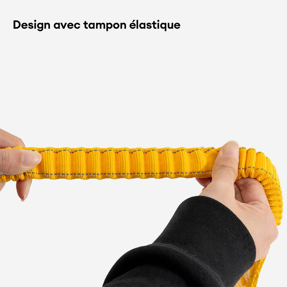 Laisse pour chien grande taille nylon réfléchissante réglable polyvalente avec poignée souple - Flexi Walker - Image 14