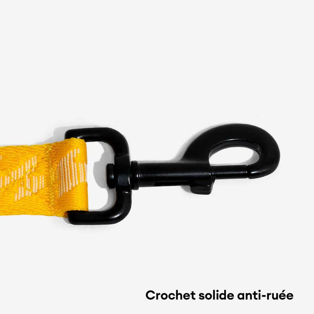 Laisse pour chien grande taille nylon réfléchissante réglable polyvalente avec poignée souple - Flexi Walker - Image 15