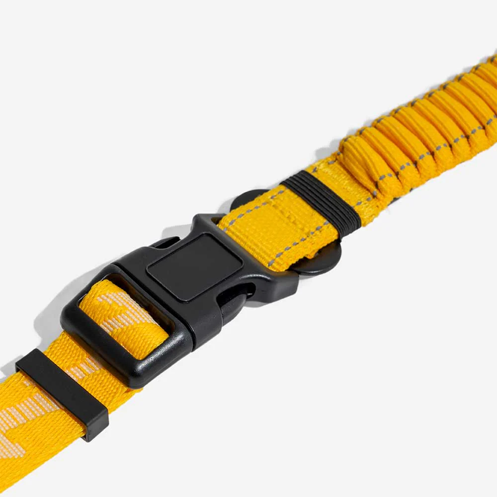 Laisse pour chien grande taille nylon réfléchissante réglable polyvalente avec poignée souple - Flexi Walker - Image 16