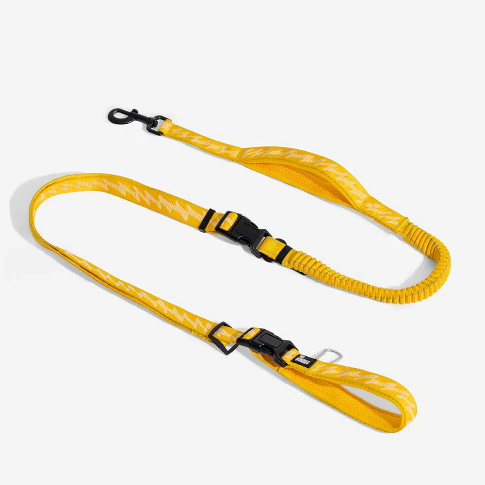 Laisse pour chien grande taille nylon réfléchissante réglable polyvalente avec poignée souple - Flexi Walker - Image 17