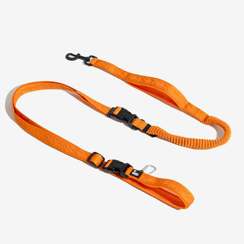 Laisse pour chien grande taille nylon réfléchissante réglable polyvalente avec poignée souple - Flexi Walker - Image 19