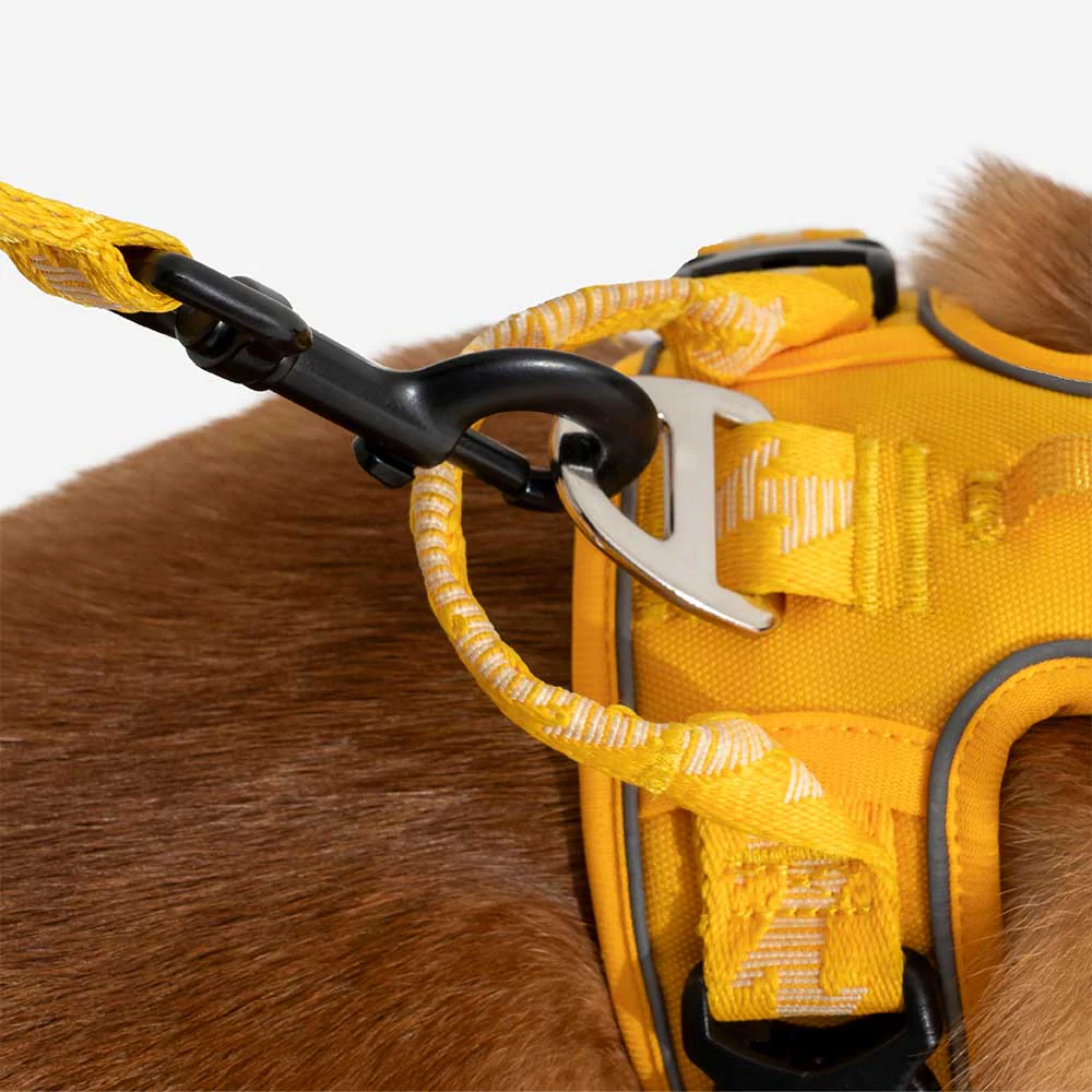 Laisse pour chien grande taille nylon réfléchissante réglable polyvalente avec poignée souple - Flexi Walker - Image 6