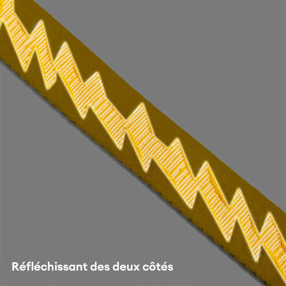 Laisse pour chien grande taille nylon réfléchissante réglable polyvalente avec poignée souple - Flexi Walker - Image 7