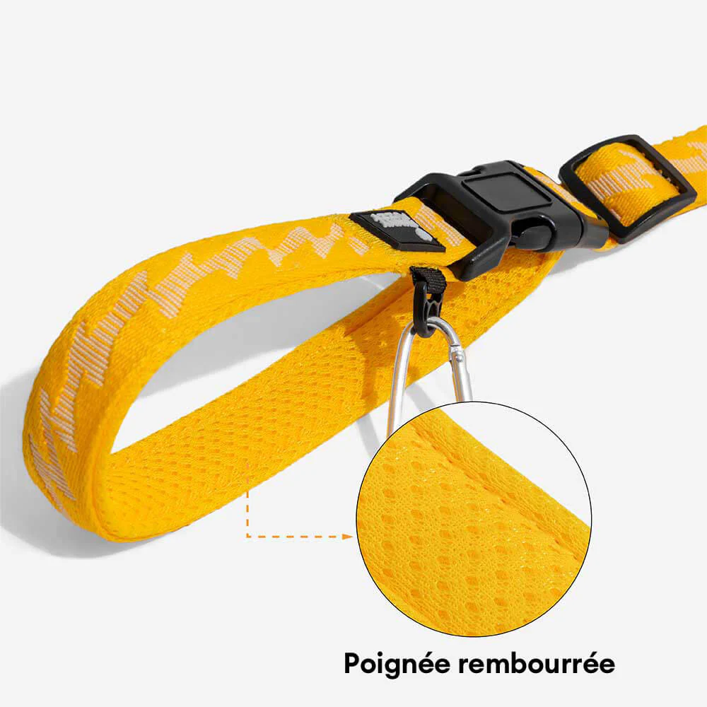 Laisse pour chien grande taille nylon réfléchissante réglable polyvalente avec poignée souple - Flexi Walker - Image 8