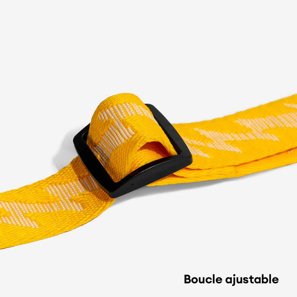 Laisse pour chien grande taille nylon réfléchissante réglable polyvalente avec poignée souple - Flexi Walker - Image 9