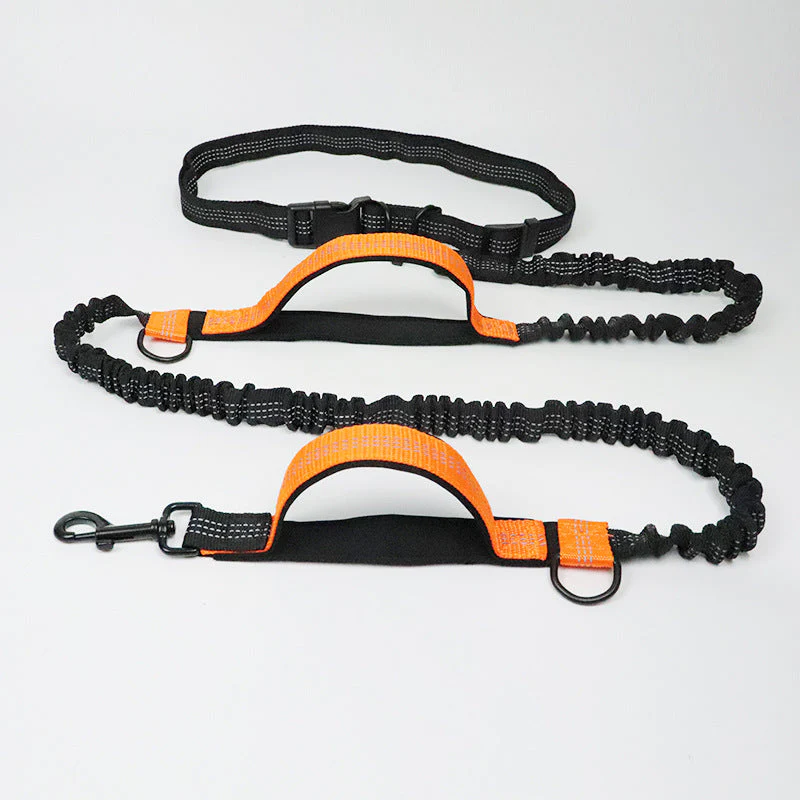 Laisse pour chien mains libres multifonction avec ceinture de sécurité - Image 10