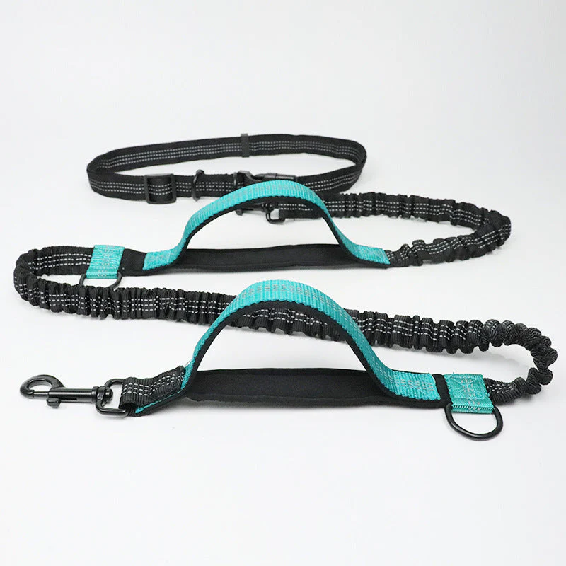Laisse pour chien mains libres multifonction avec ceinture de sécurité - Image 11