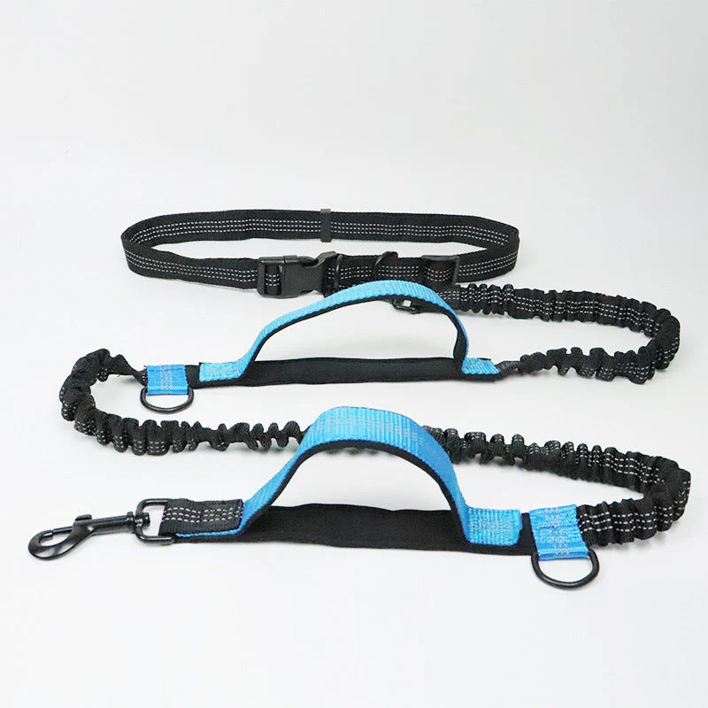 Laisse pour chien mains libres multifonction avec ceinture de sécurité - Image 12