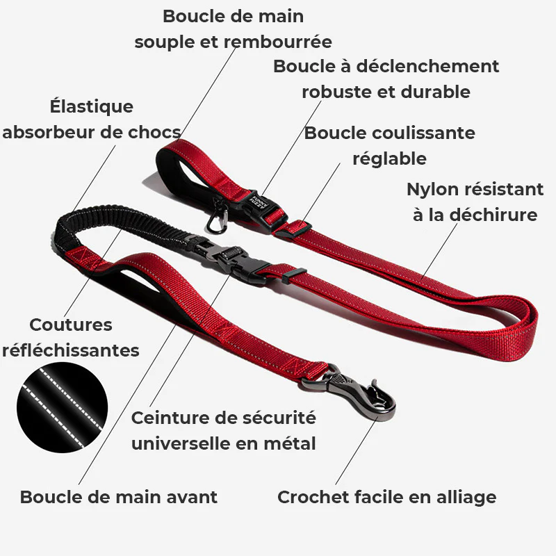 Laisse pour chien mains libres multifonction avec ceinture de sécurité - Image 3