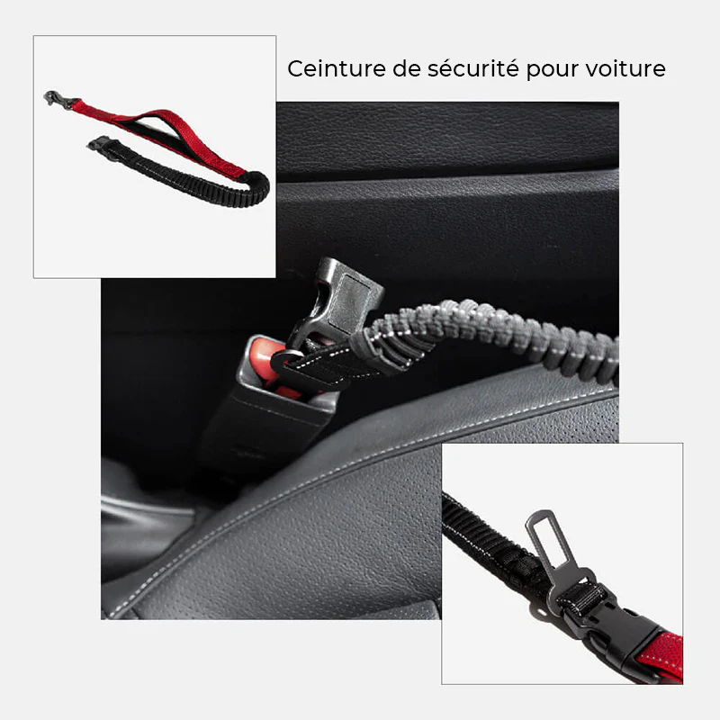 Laisse pour chien mains libres multifonction avec ceinture de sécurité - Image 5