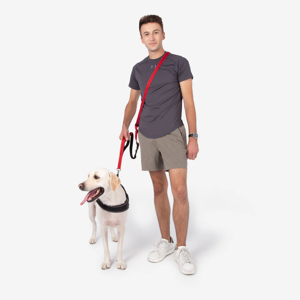 Laisse pour chien mains libres multifonction avec ceinture de sécurité - Image 6