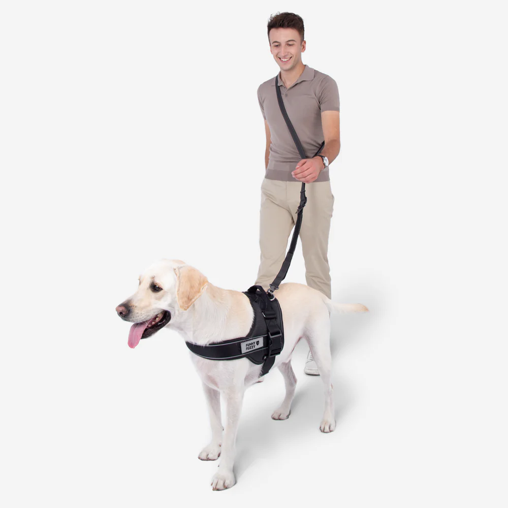 Laisse pour chien mains libres multifonction avec ceinture de sécurité - Image 7