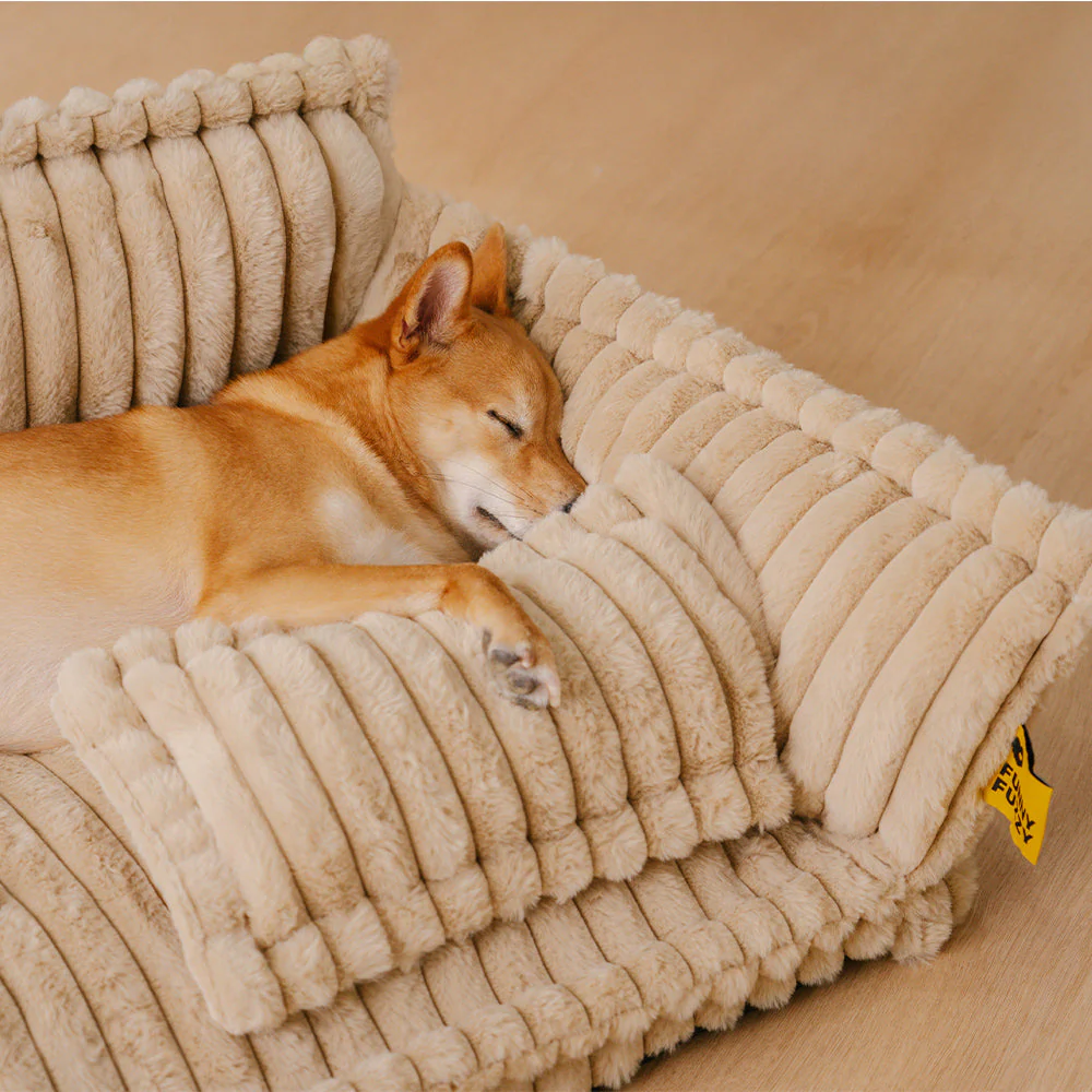Lit canapé orthopédique doux lavable et moelleux pour chien - Rêve Douillet - Image 3