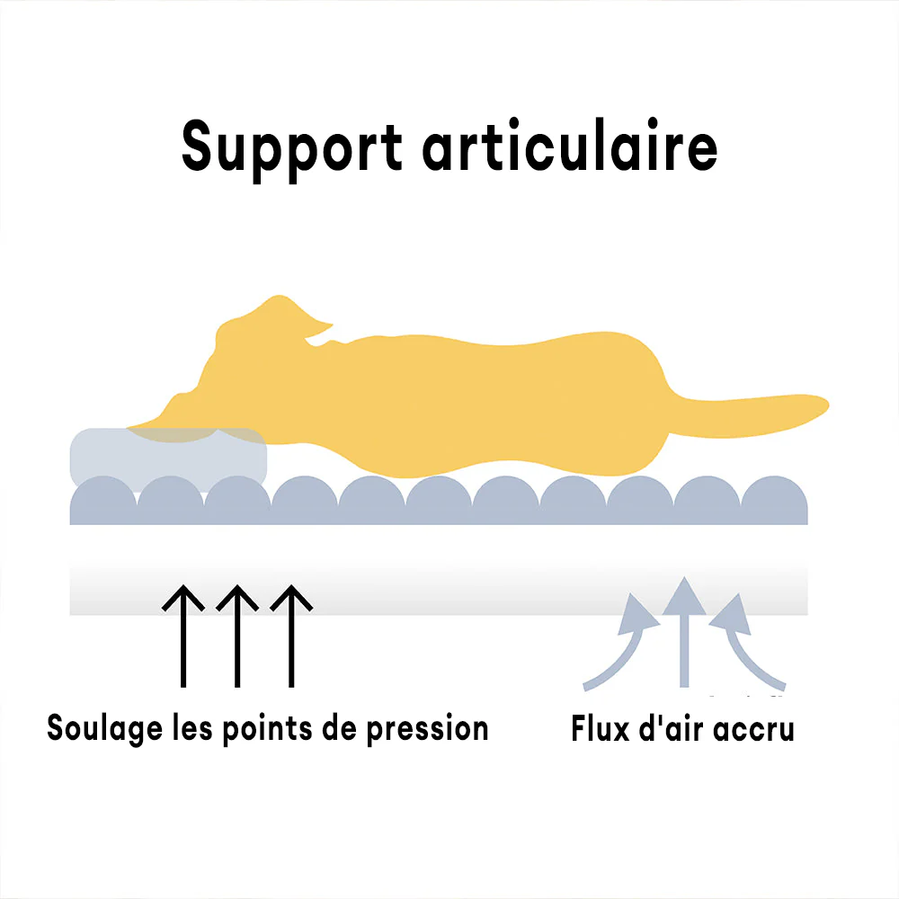 Lit canapé orthopédique doux lavable et moelleux pour chien - Rêve Douillet - Image 4