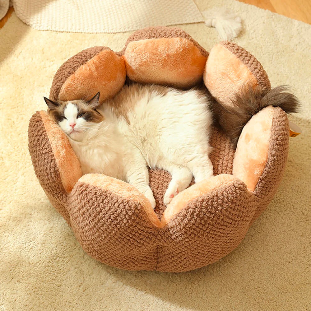 Lit confortable pour animaux de compagnie en forme de cactus - Image 8