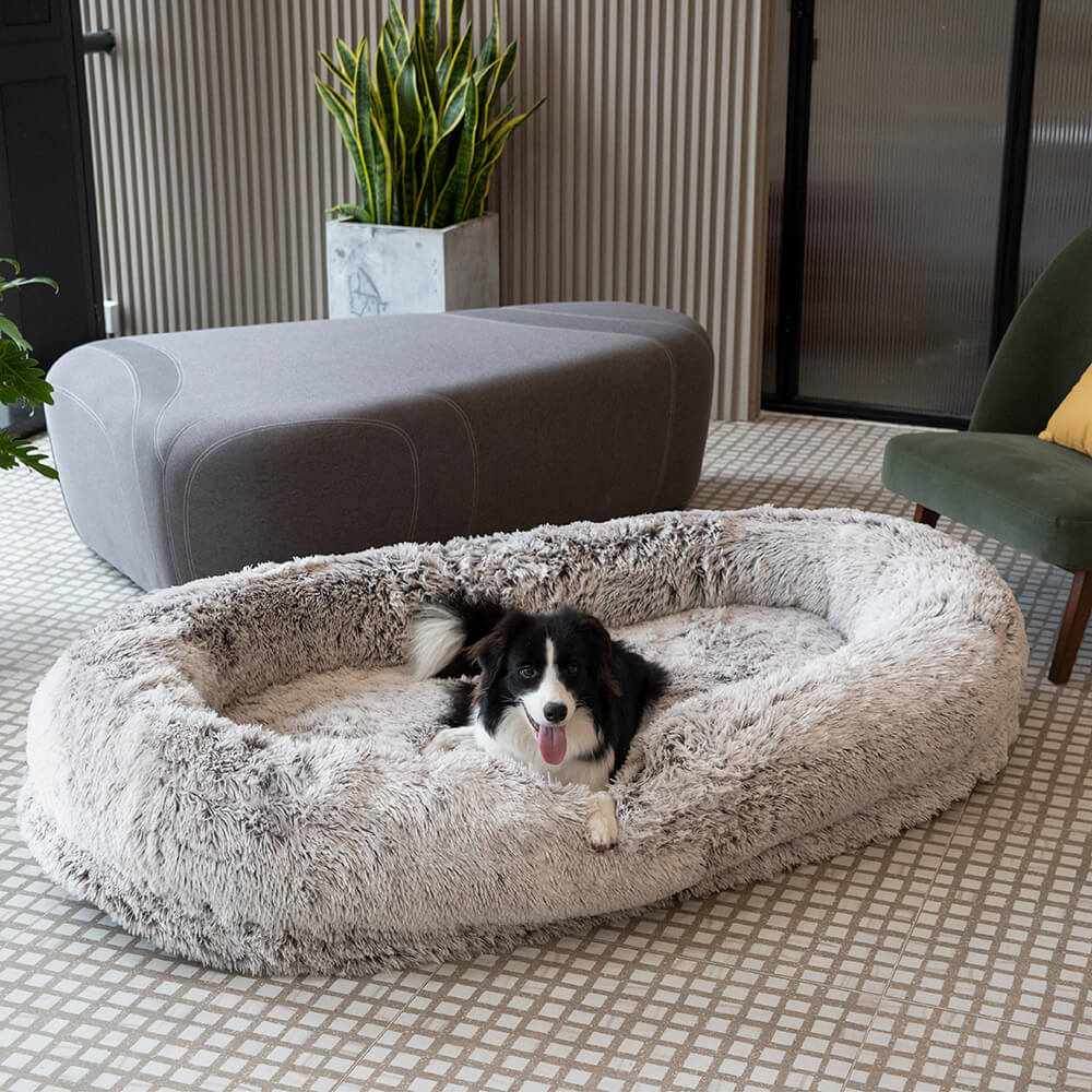 Lit orthopédique en peluche pour chien et homme - Image 19