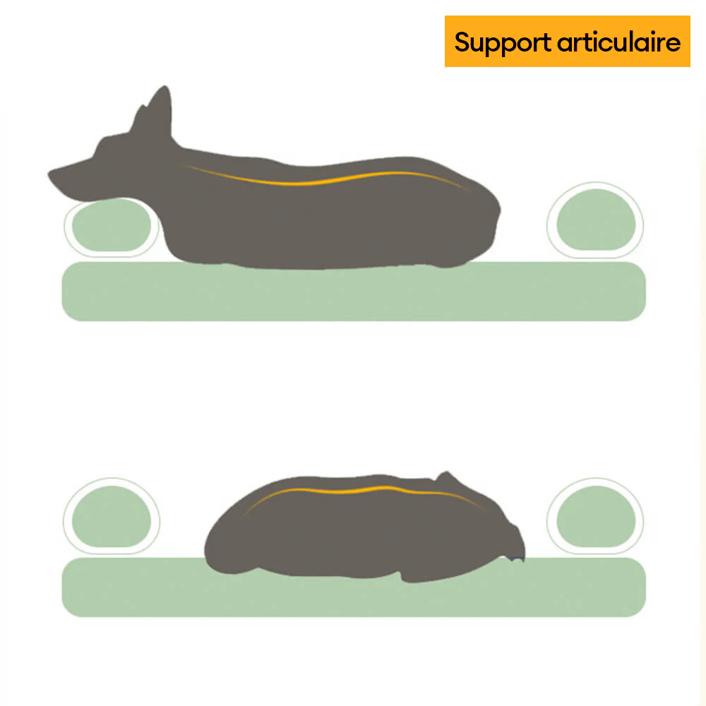 Lit orthopédique lavable pour chien et chat spacieux confortable et durable - Image 3