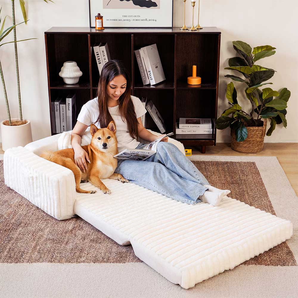 Lit orthopédique moelleux et crémeux pour chien et homme confort extensible - Image 3