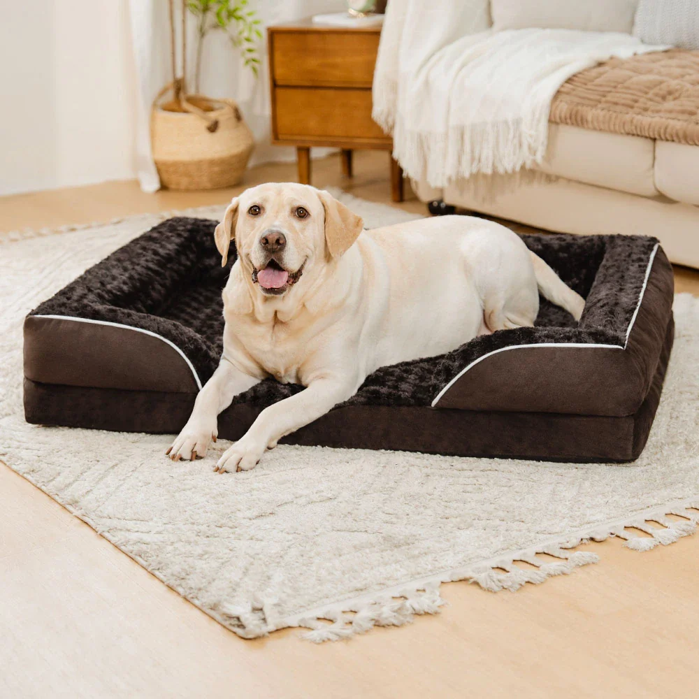 Lit orthopédique pour chien détachable déperlant avec soutien intégral - Image 12